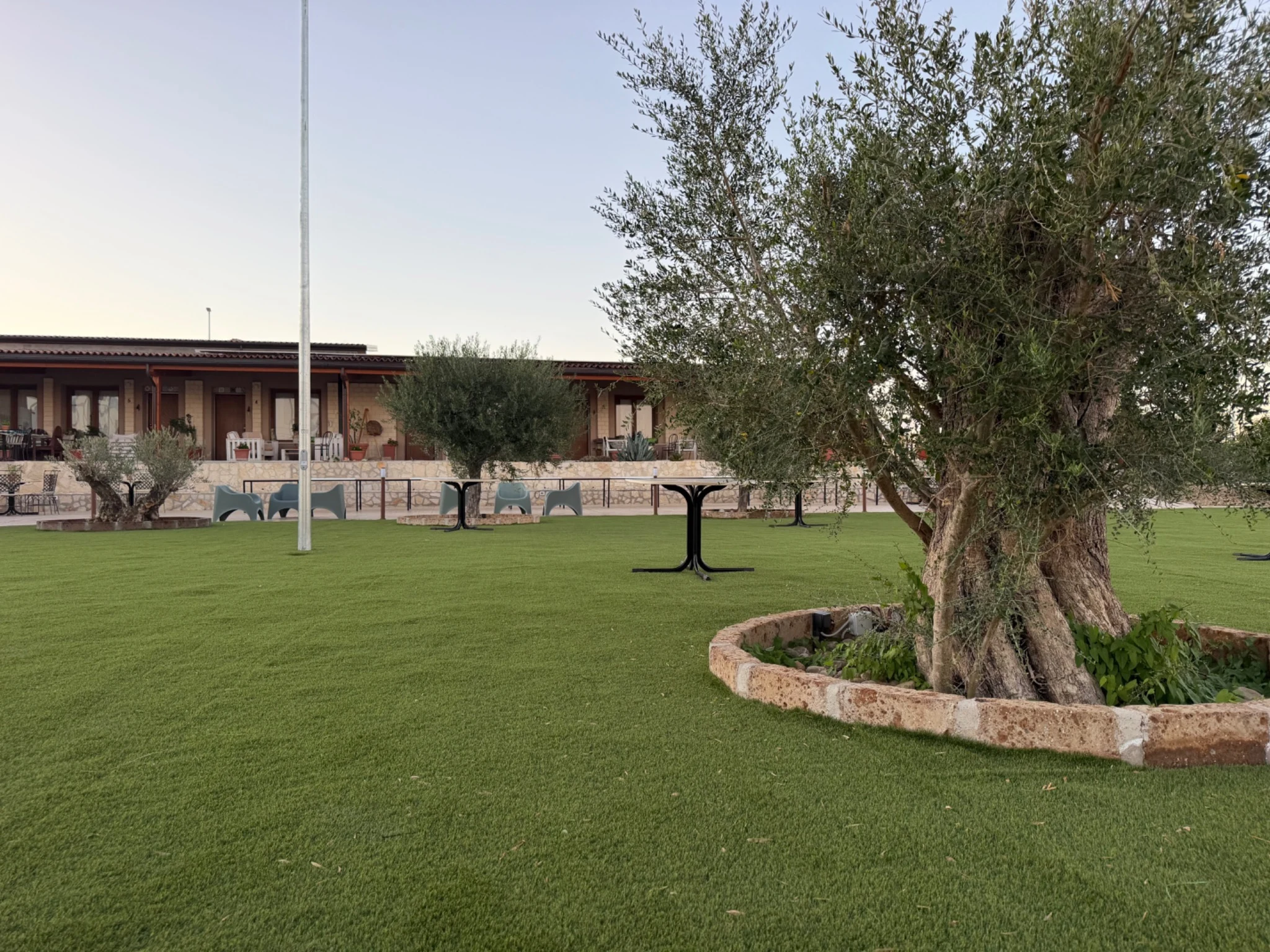 Ulivi e prato davanti all’Antica Masseria Il Casone